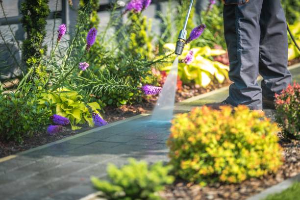 Best Parking Lot Cleaning in Mountain Park, GA